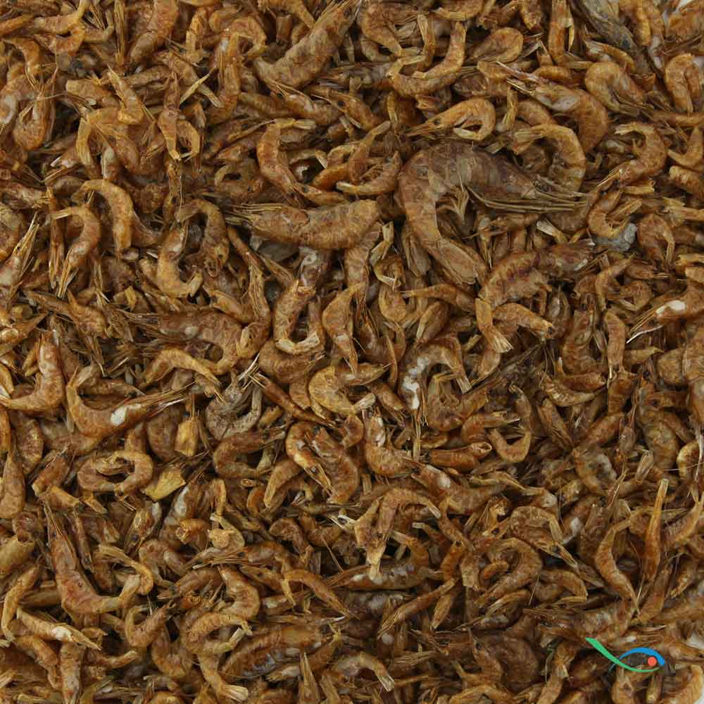 Blu Bios Tartarù Giga per Tartarughe d'acqua 320gr