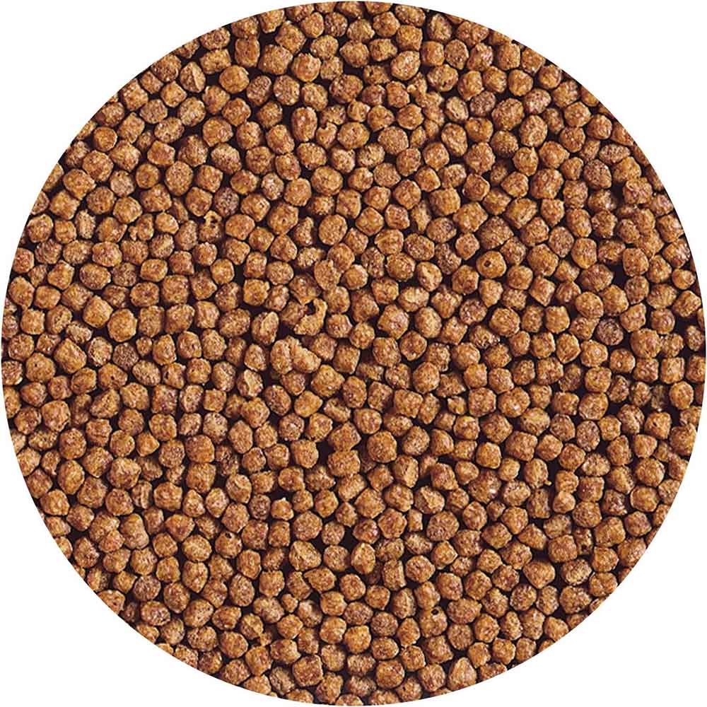 Hikari Goldfish Gold Baby Pellet 100g