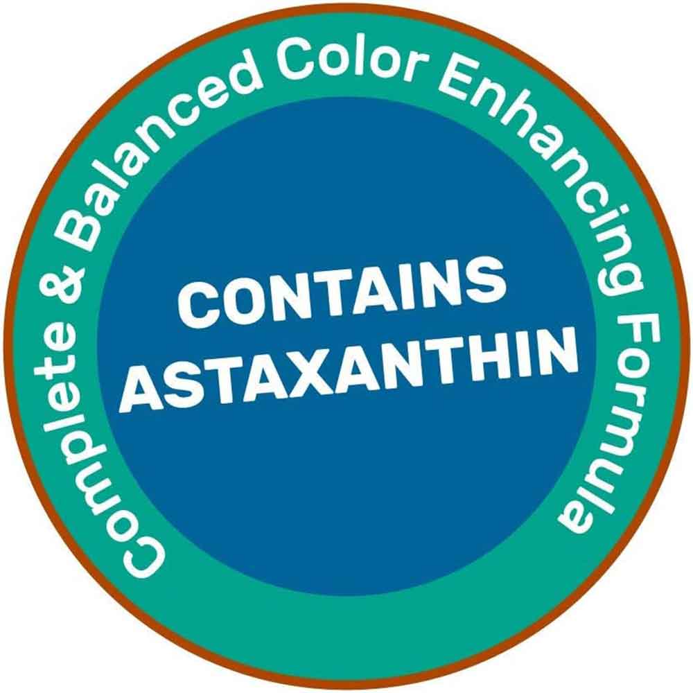 Hikari Goldfish Gold Baby Pellet 100g