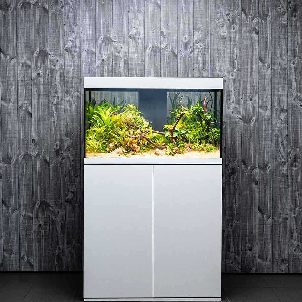 Askoll Opera 150 Acquario completo 150 litri Steel 80x40x50h cm