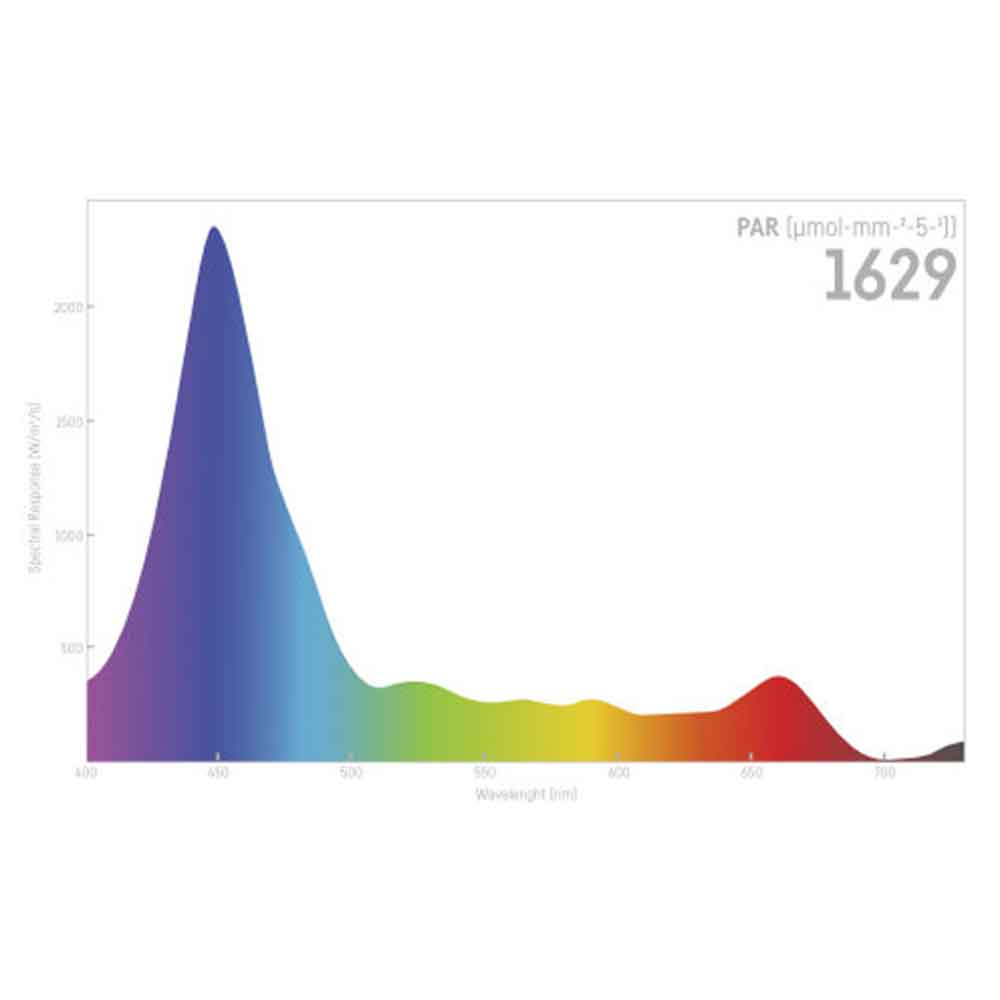 Reef Factory Reef Flare Blue L Lampada Acquario di Barriera Black 240W