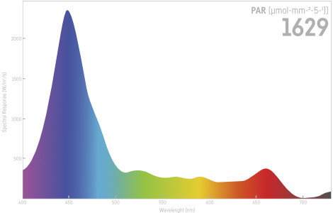 Reef Factory Reef Flare Blue L Lampada Acquario di Barriera White 240W
