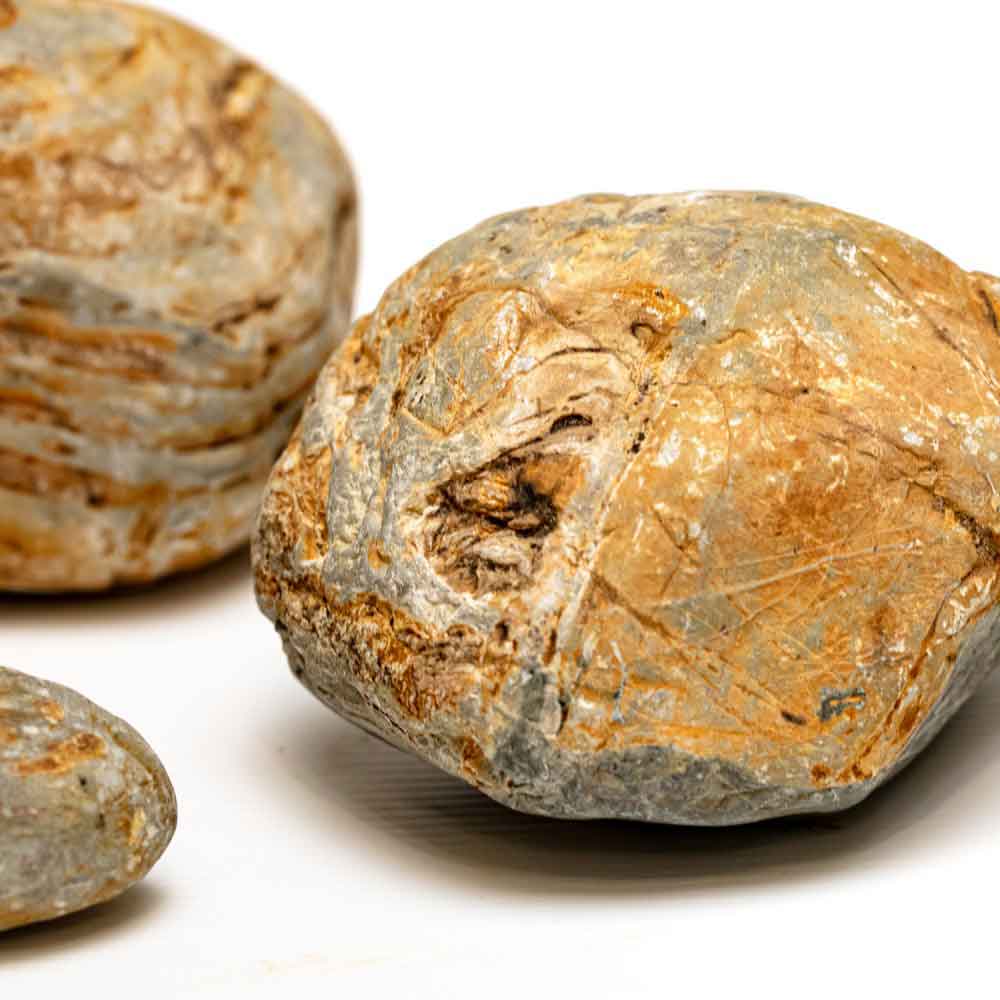 Aqpet Zen Stone Roccia Howloon 300gr/3Kg al Kg