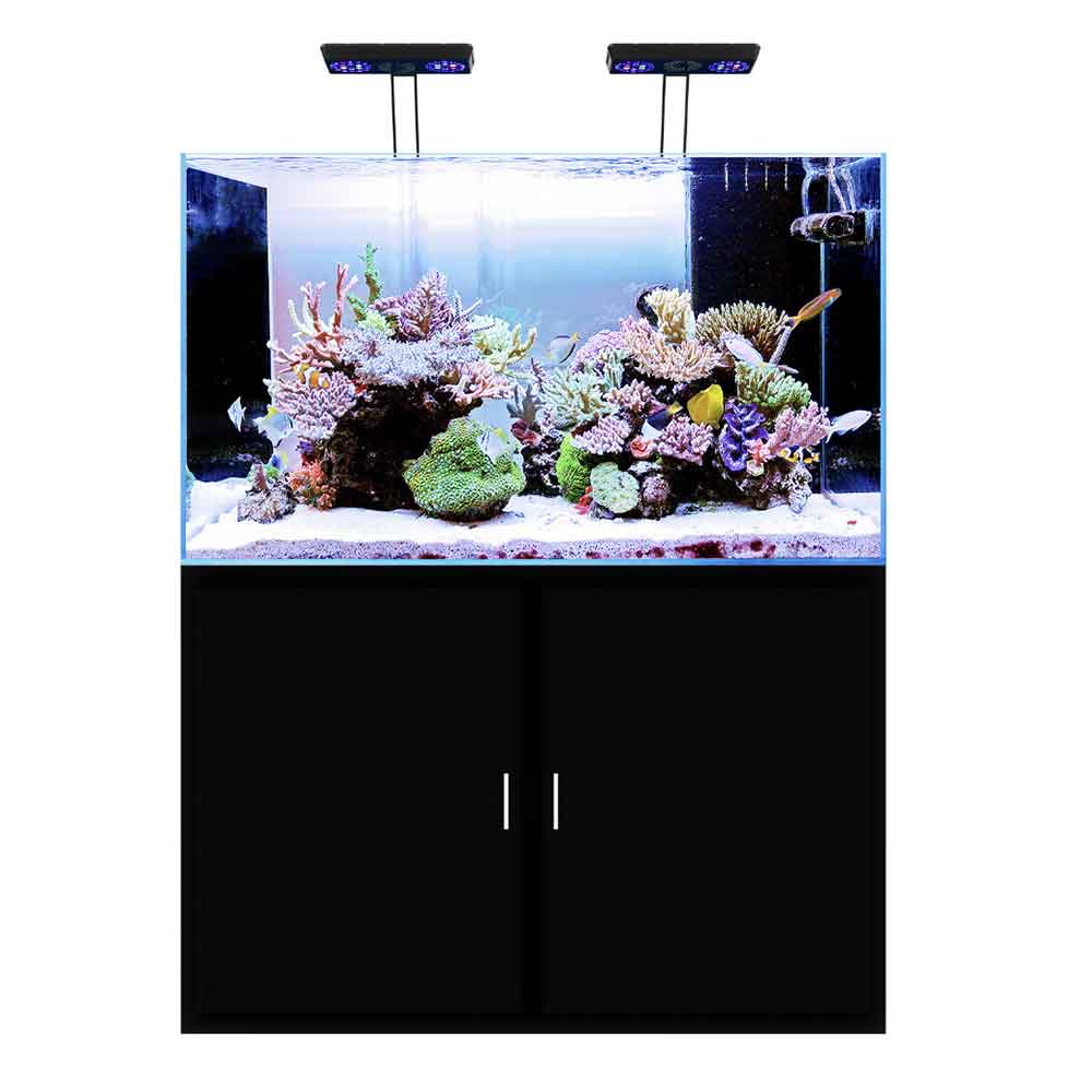 Micmol G4 Thor X Marine Lampada Led per Marino 120W