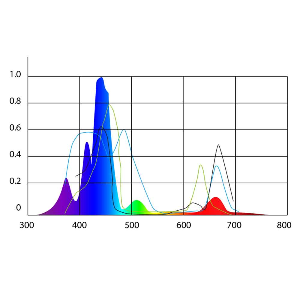 Micmol G4 Thor Pro Blue Lampada Led per Marino 180W