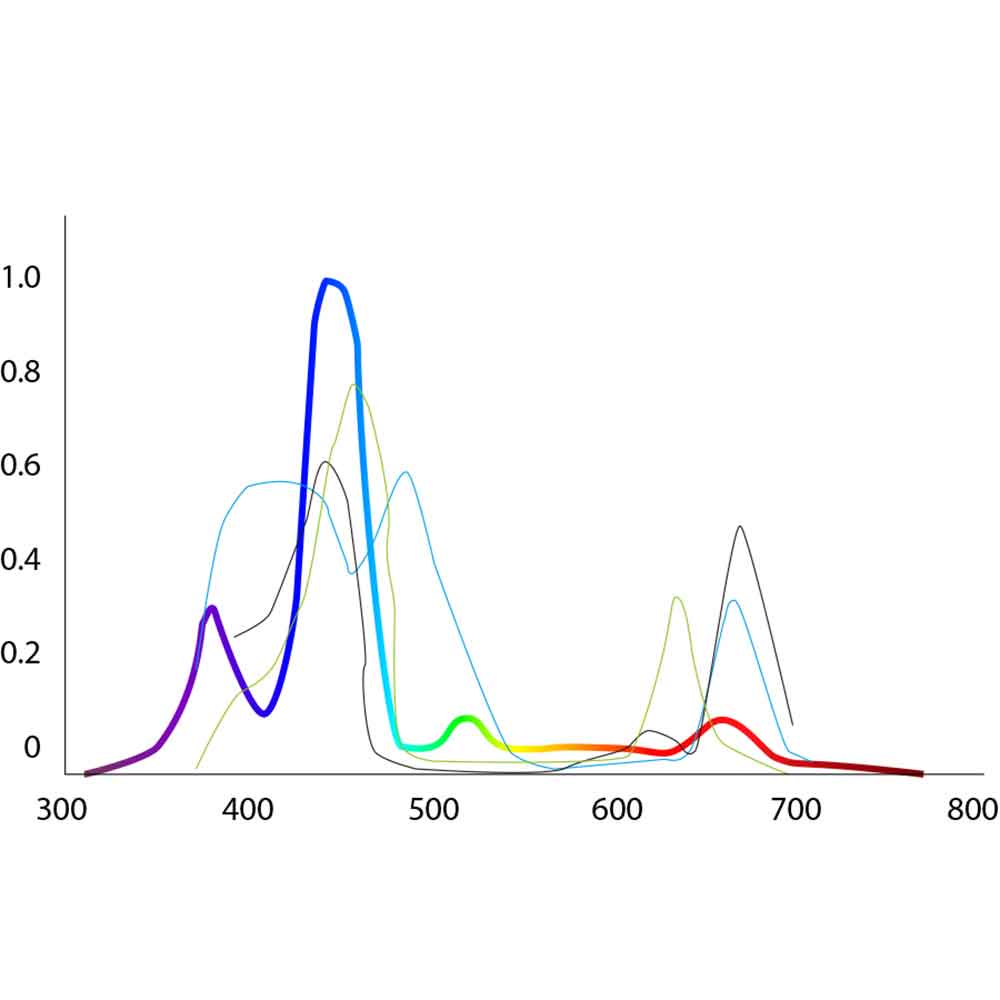 Micmol G4 Thor Marine Lampada Led per Marino 60W