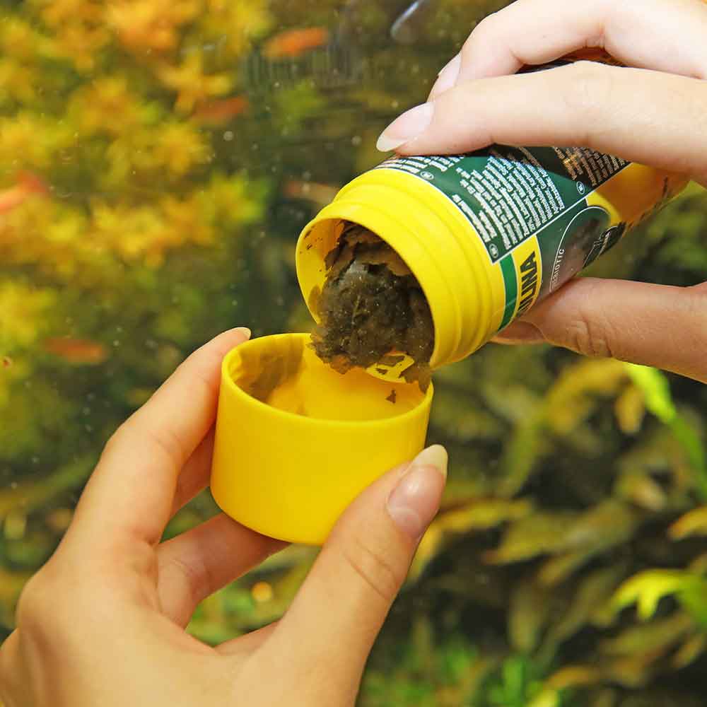 Jbl Spirulina scaglie 5500 ml 950 gr