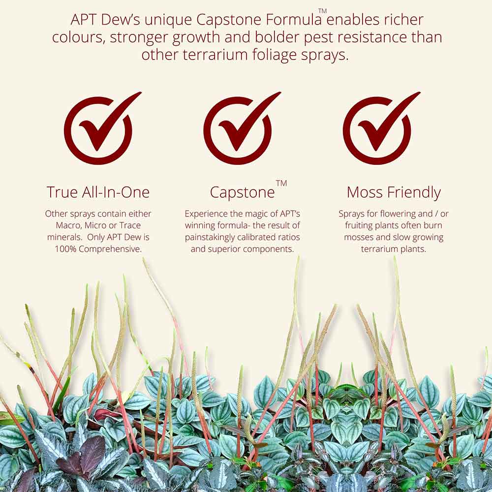 The 2Hr Aquarist APT Dew Fertilizzante Spray fogliame per Terrari e Paludari 100ml