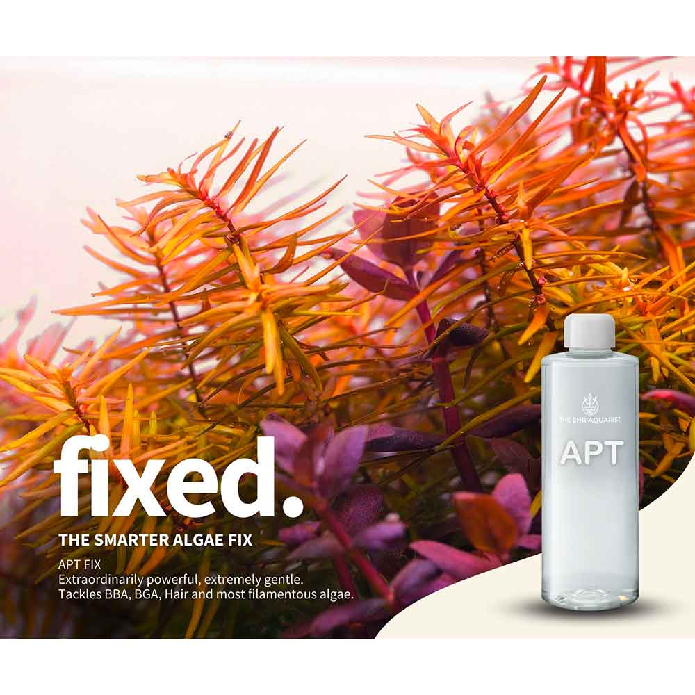The 2Hr Aquarist APT Fix Antialghe BBA Filamentose e pennello 100ml