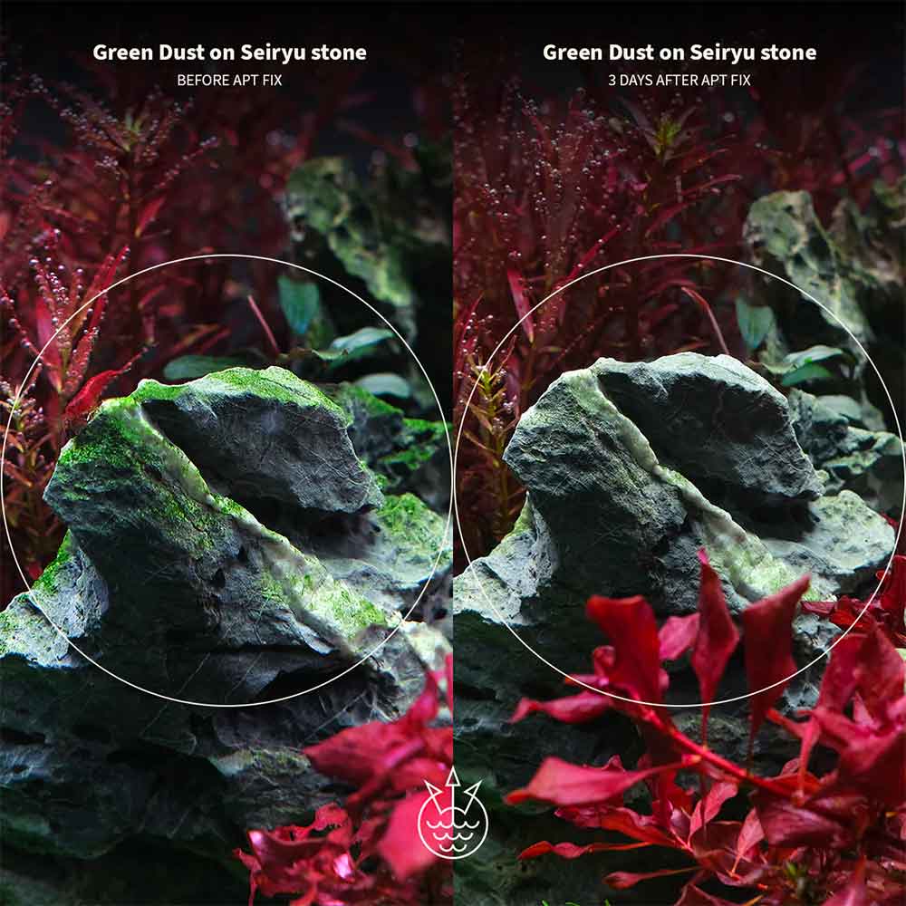 The 2Hr Aquarist APT Fix Antialghe BBA Filamentose e pennello 300ml