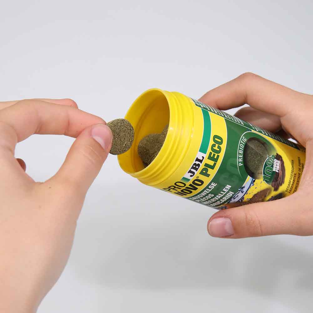 Jbl ProNovo Pleco Wafer XL con Fibre di legno e Prebiotici 250ml 125g