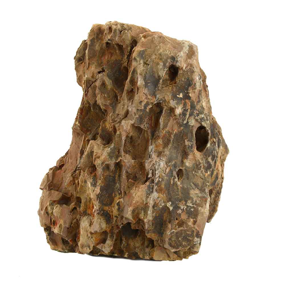 Roccia Dragon Stone 45 Foto Reale 23x13x7h