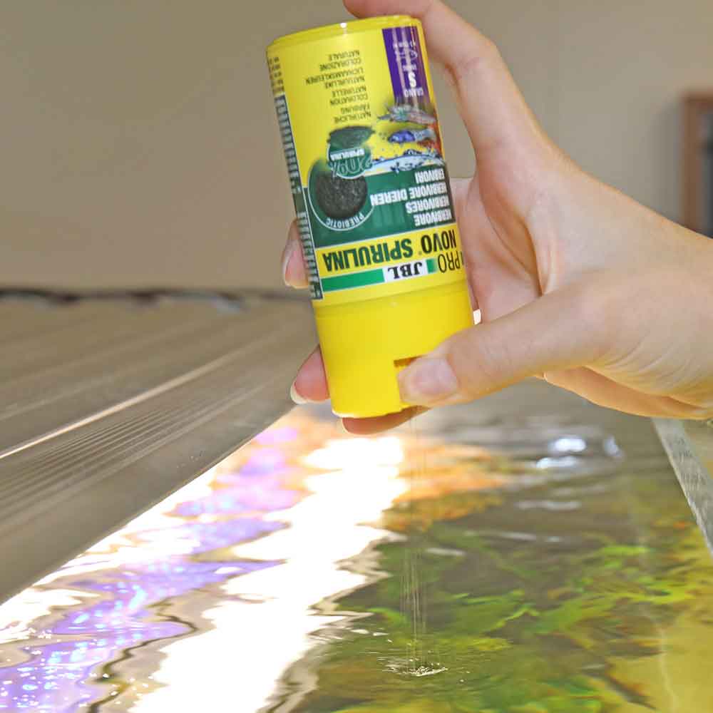 Jbl ProNovo Spirulina Grano M Granulare con Spirulina e Prebiotici 250ml 125gr