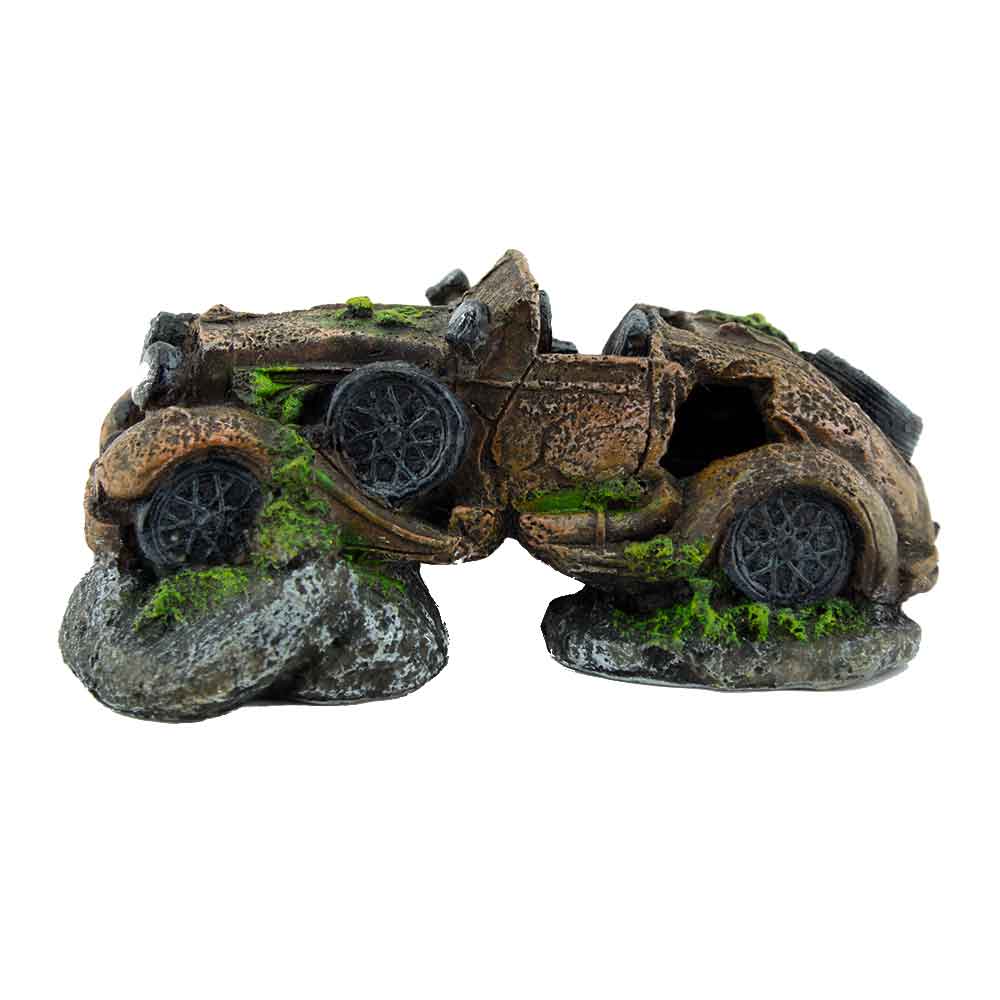 Amtra Decorazione Vecchia Automobile affondata