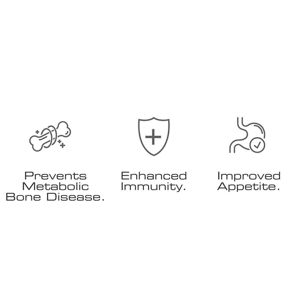 Exoterra Reptile UVB 150 per Terrario Desertico 25W