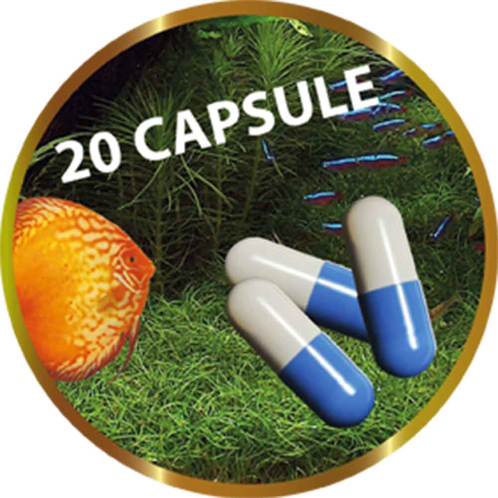 Shg Ri Aktive Super attivatore e tutore batterico 20 capsule