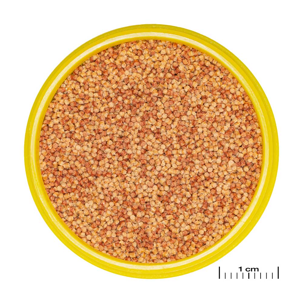 Jbl ProNovo Color Grano con Shrimps e Prebiotici 100ml 45gr