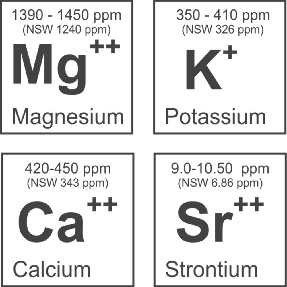 Blau Aquaristic Reef Salt Sps Grade Sale per Acquari di Barriera 20kg/ 600litri Sacco