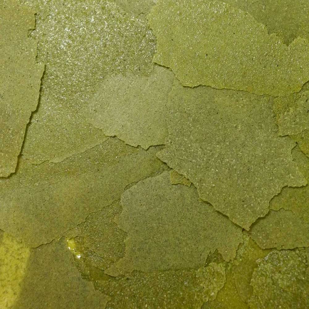 Ocean Nutrition Formula Two Flakes marine con spirulina e aglio 34 g