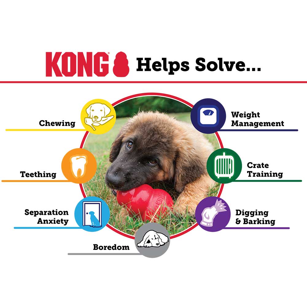 Kong Puppy Medium Gioco per Cani 7-16Kg