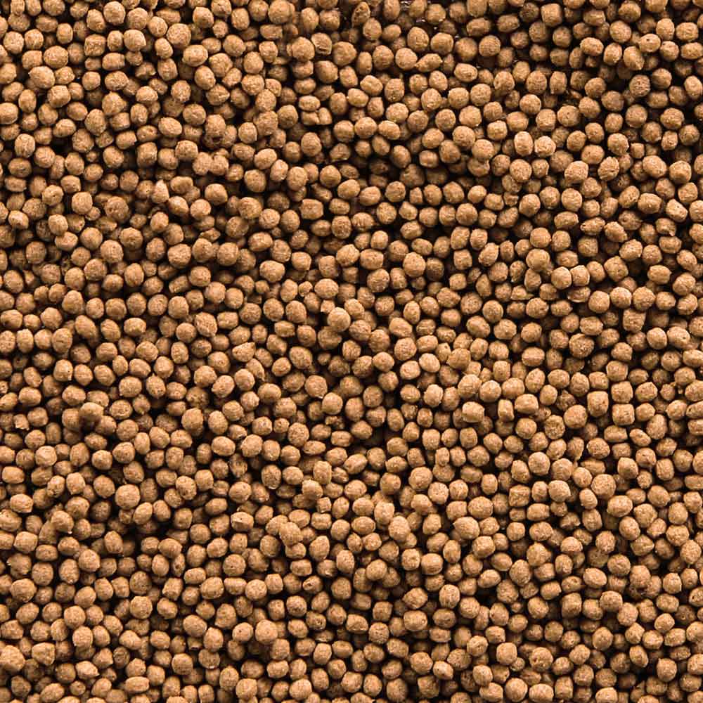 Sera Goldfish Granules Nature Mangime per Pesci Rossi 50ml 18gr