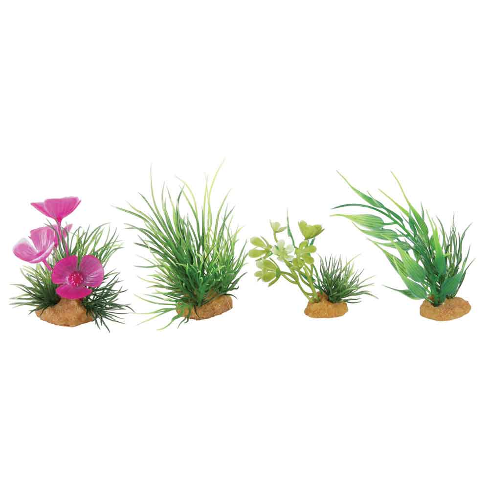 Zolux PlantKit Mini 1 Assortimento 4 piantine in plastica