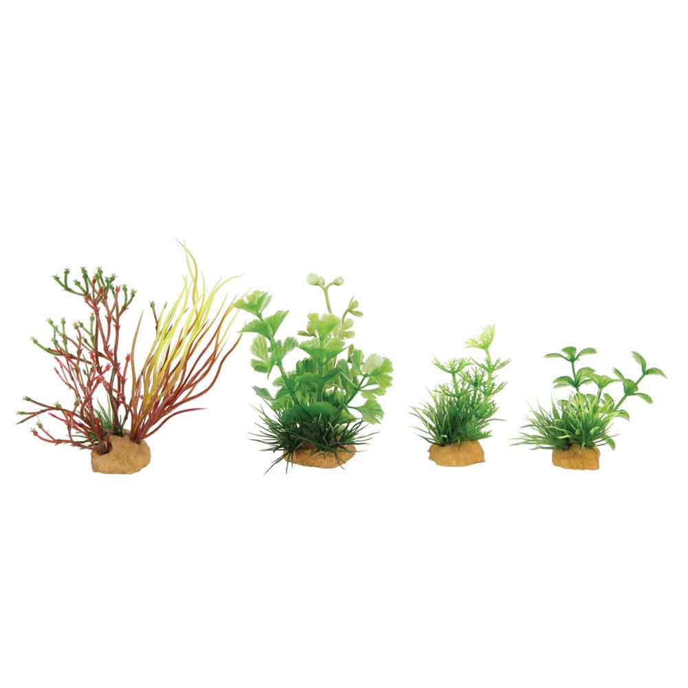 Zolux PlantKit Mini 2 Assortimento 4 piantine in plastica