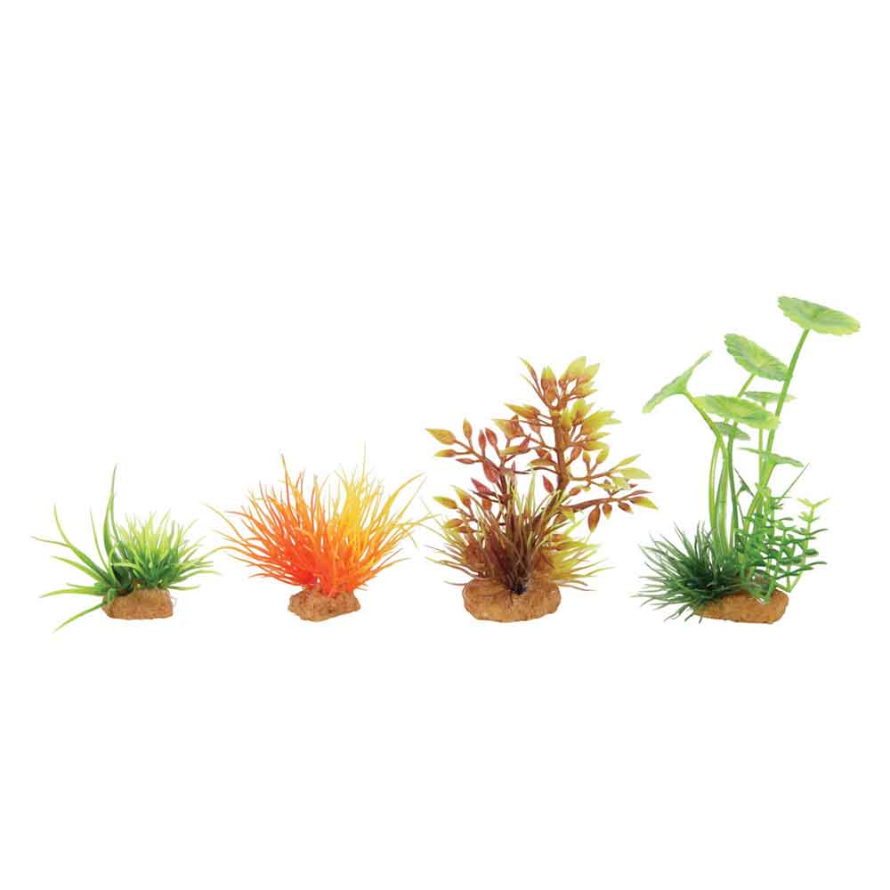 Zolux PlantKit Mini 3 Assortimento 4 piantine in plastica