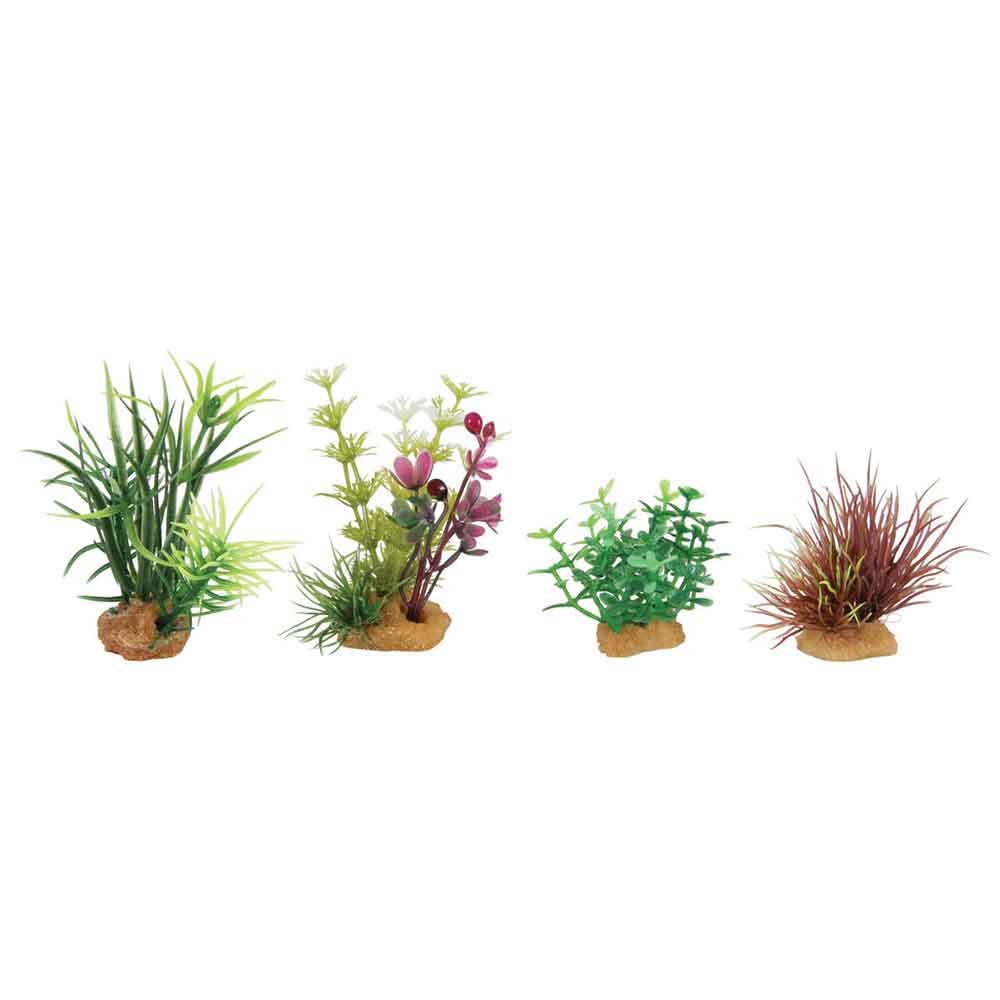 Zolux PlantKit Mini 4 Assortimento 4 piantine in plastica