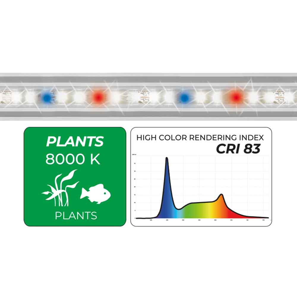 Newa Led Slim Plant 378 Lampada estensibile per acquari da 396-465mm 8000K° 5.04W