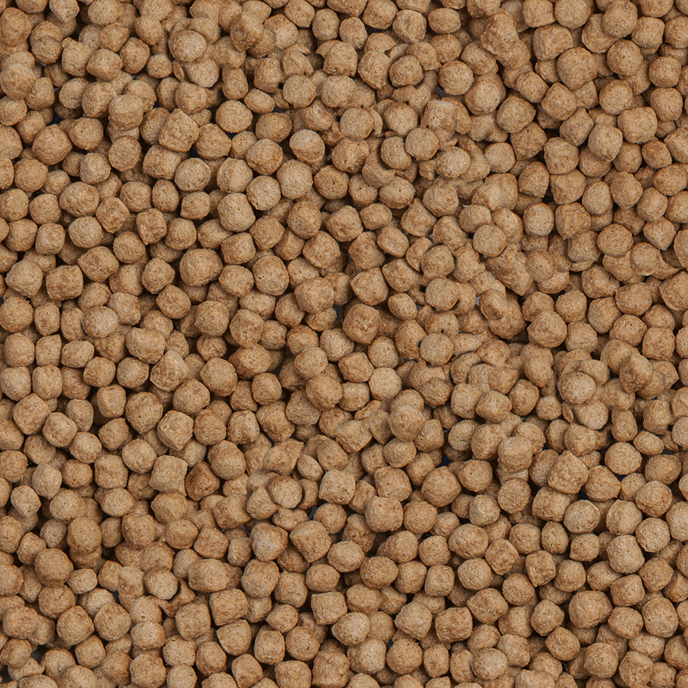 Sera Koi Royal Nature Medium 3,8l 1Kg