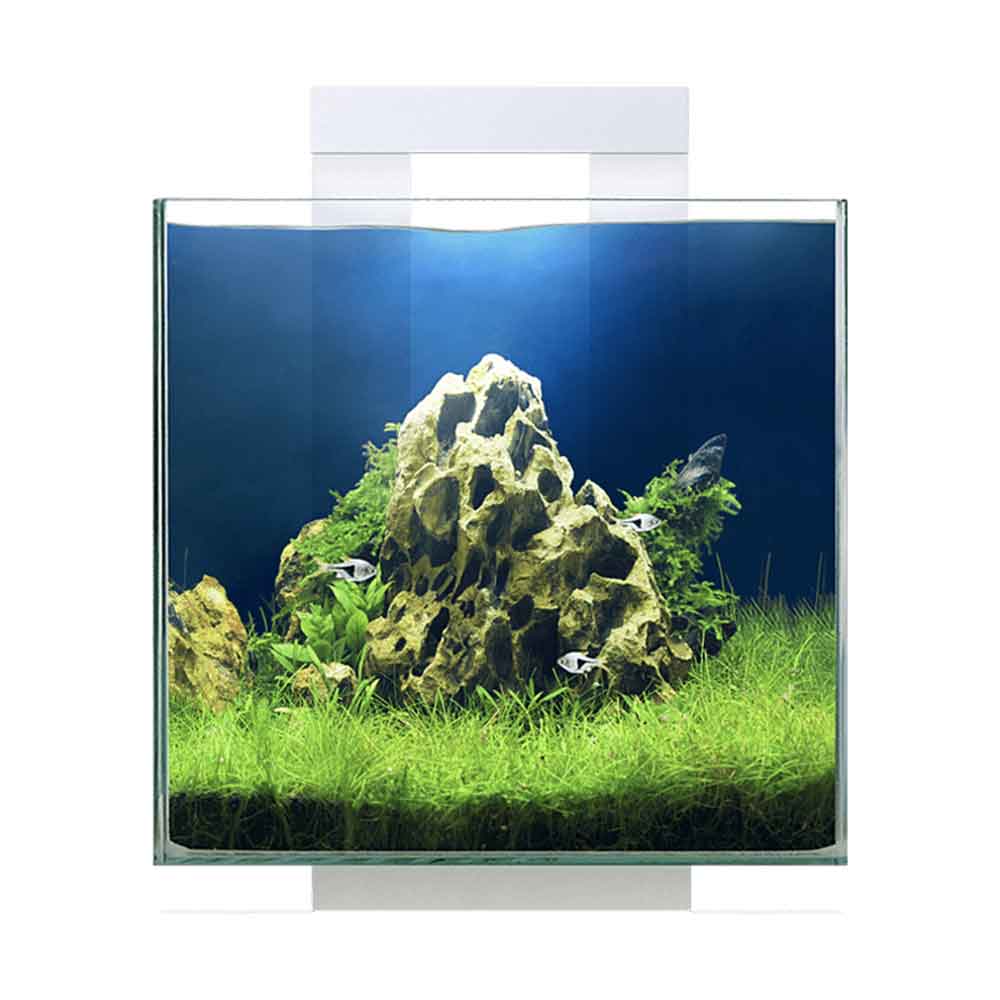 Ciano Aquarium Nexus Pure Cube15 con coperchio 14Lt 25x25x31,5h cm