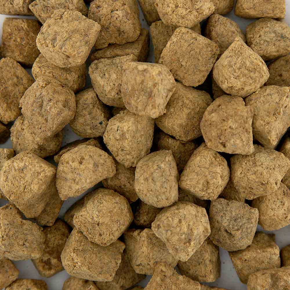 Planctontech Artemia Cubes Artemia liofilizzata 1000ml 80gr