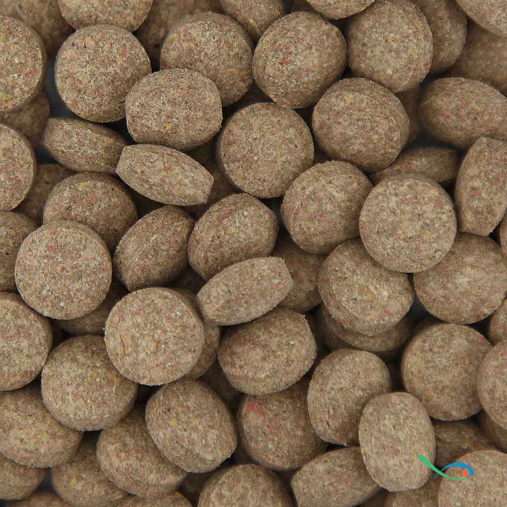 Aquaristica ABA Tablet Nutrition 160 Pastiglie per Pesci di fondo 100ml 60gr