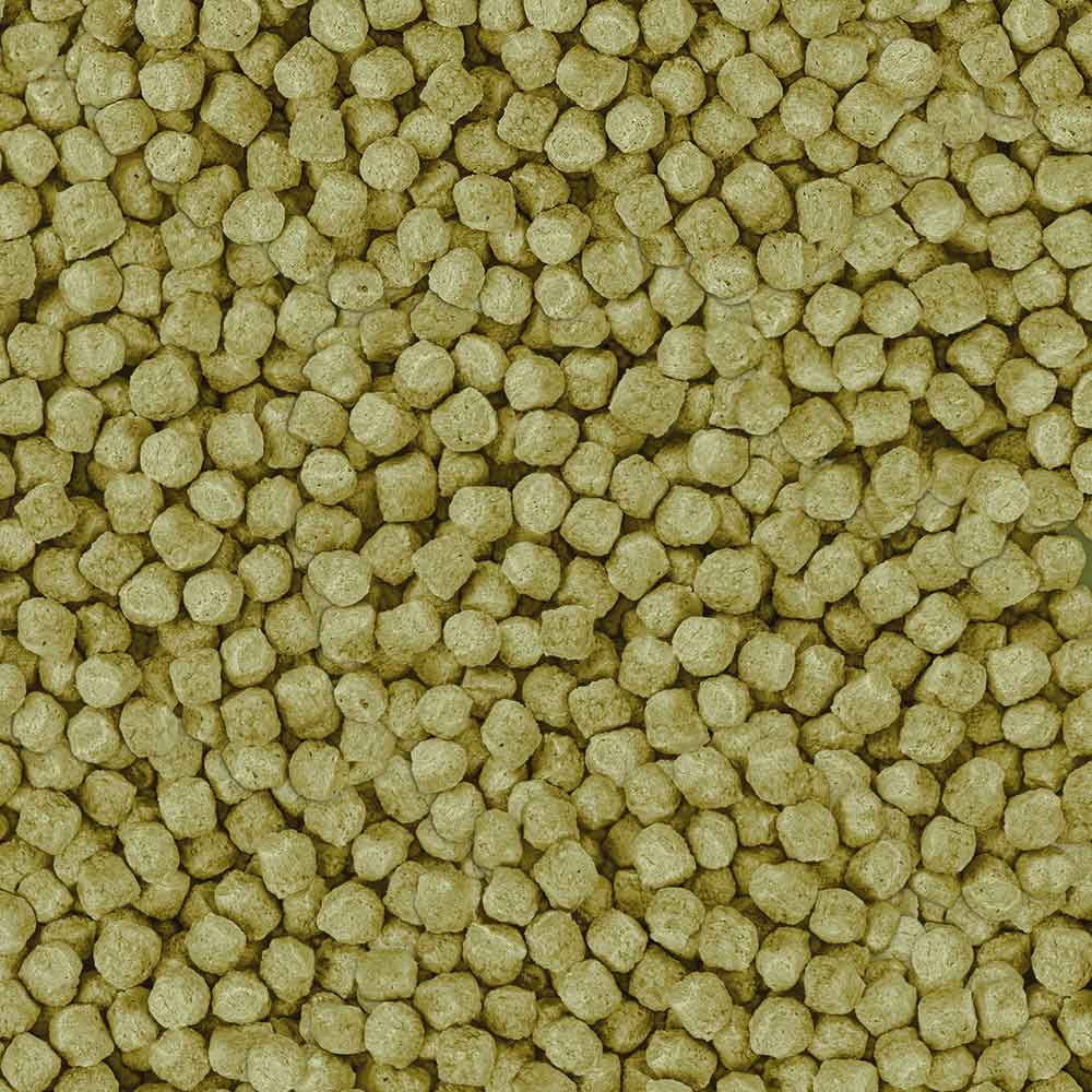 Sera Pond Energy Plus Wheat Germ 40Lt 5Kg