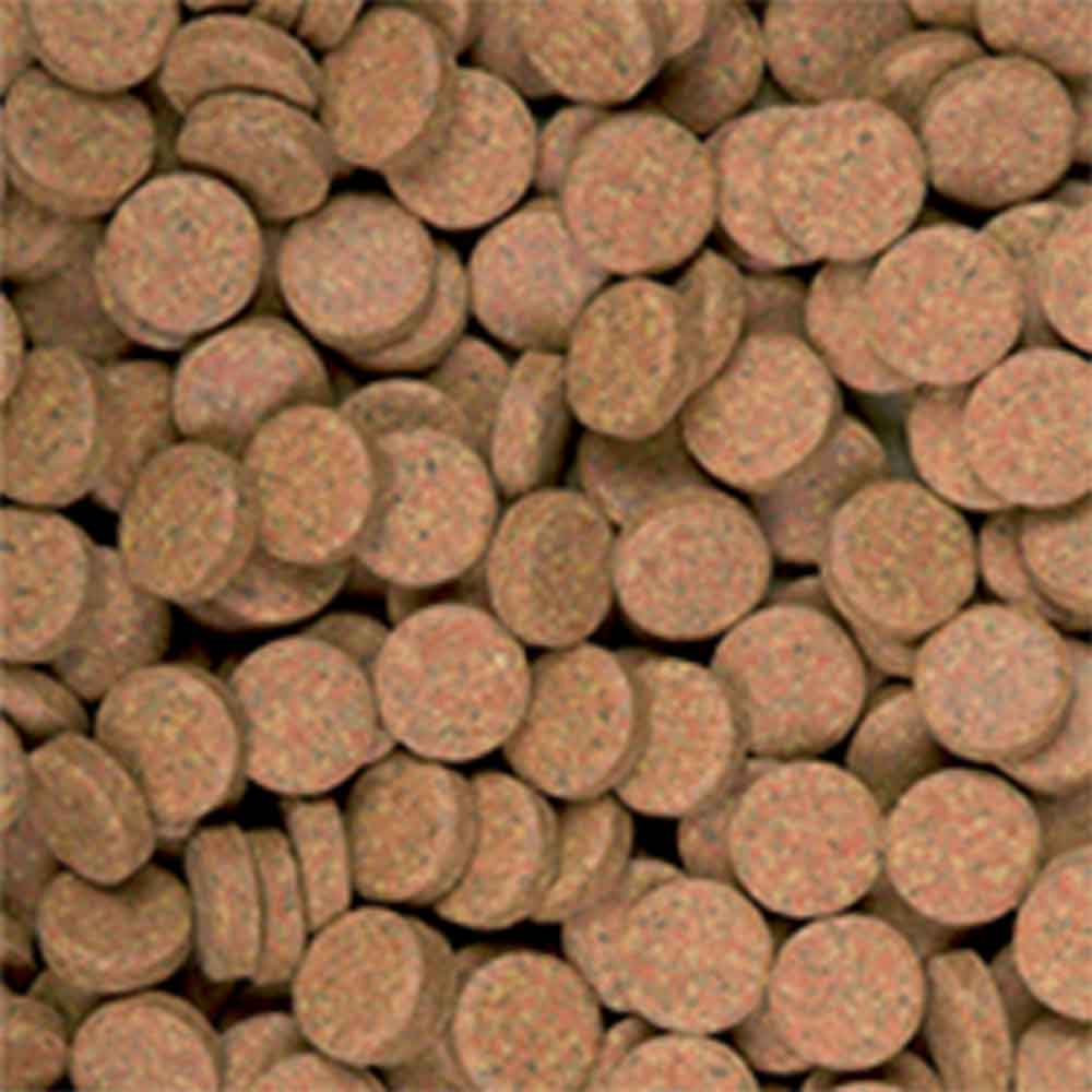 Tropical Supervit Tablet A 50ml 36g