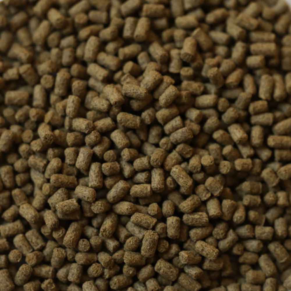 DUPLARIN Axolotl Snack 85g 09/2027 NEW