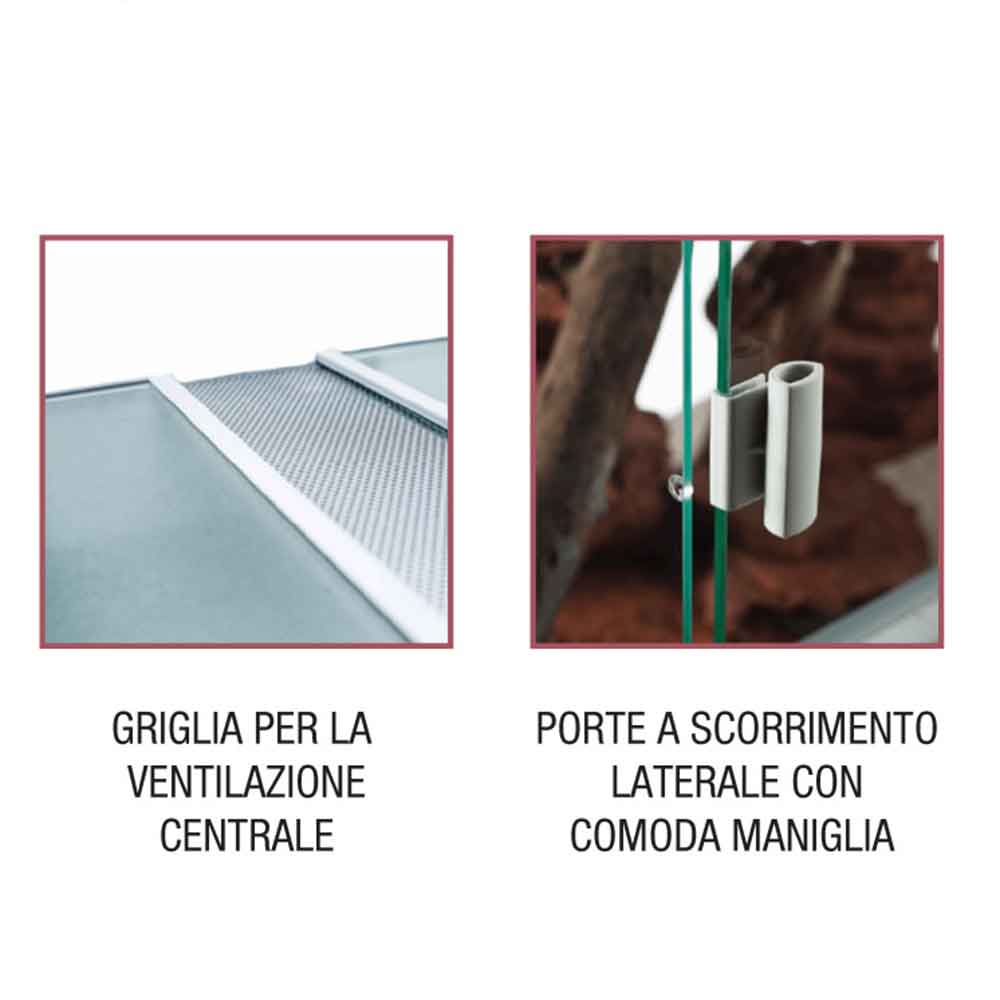 Blu Bios Terrario Paludario Madagascar 45x35x60h cm