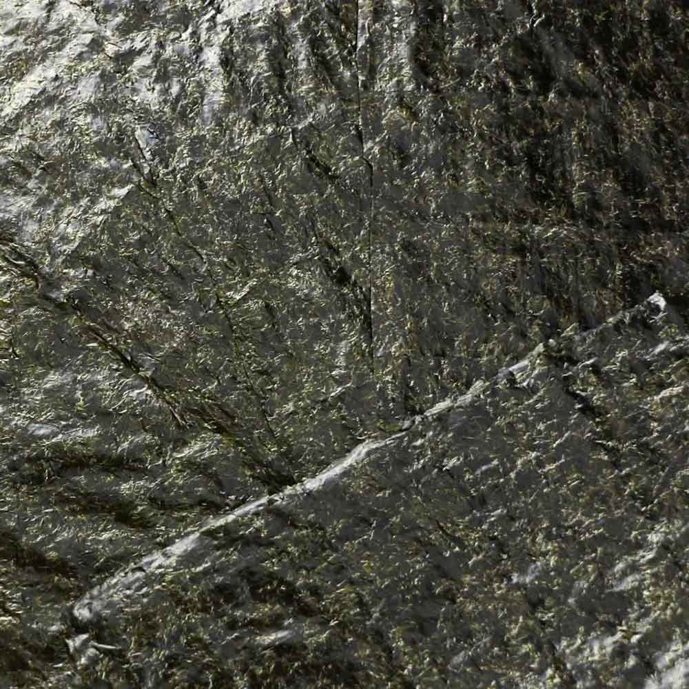 Ocean Nutrition Green Marine Algae 12 g