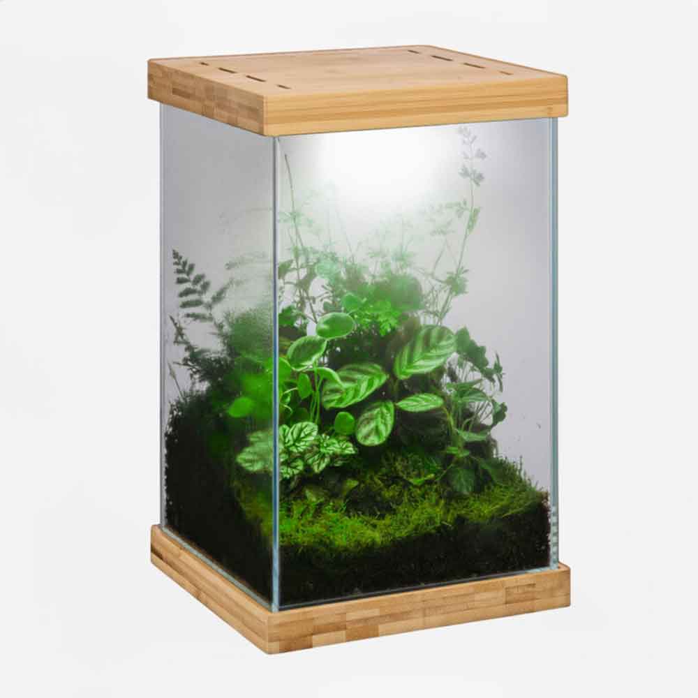 Aquael Selva Mini Terrarium Led RGB App Control
