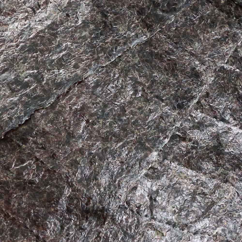 Ocean Nutrition Brown Marine Algae 12 g