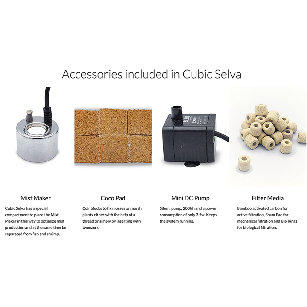 Blau Aquaristic Cubic Selva 35 Paludarium completo 35x35x18/45h cm