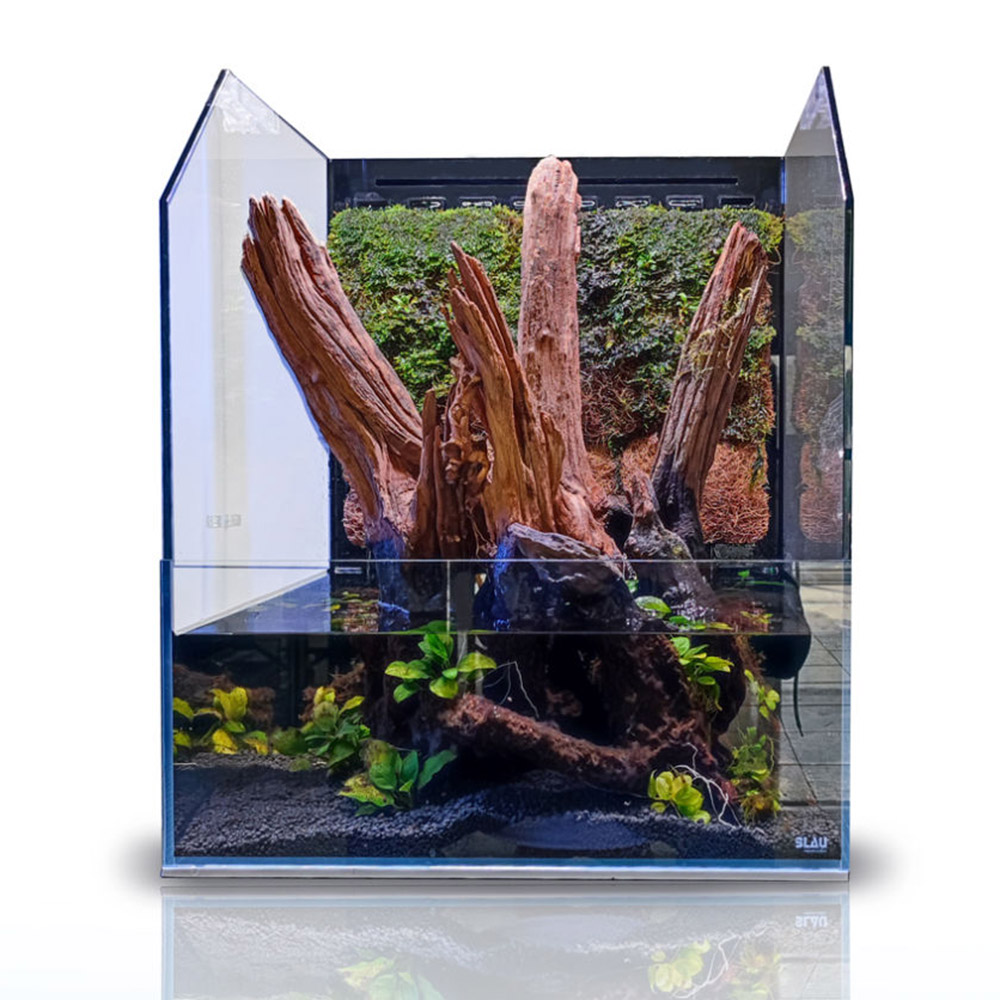 Blau Aquaristic Cubic Selva 35 Paludarium completo 35x35x18/45h cm
