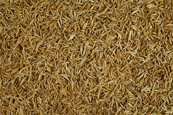 Tetra Anchovies Acciughe per Tartarughe d'acqua 250ml 35gr