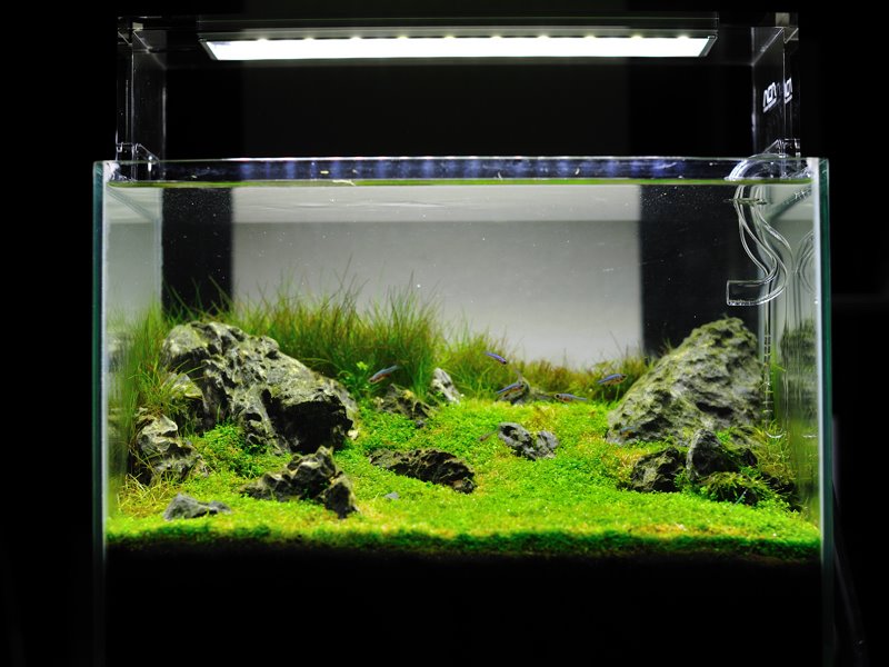 Ada Aquasky Moon 301 Plafoniera a Led per Dolce 7000K° per vasche da 30cm