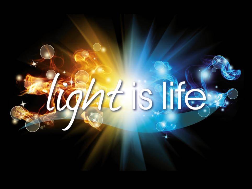 Askoll Lampada A LED Marine M 14000K° (T8 18/20W/T5 24/28W) 550mm 15W