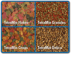 Tetra My Feeder Mangiatoia automatica