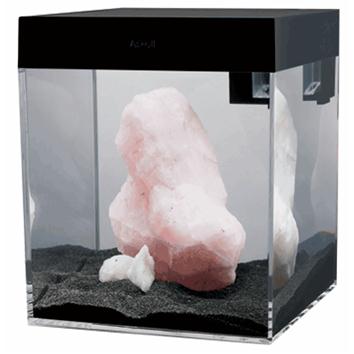 Askoll Acquario Pure LED S Black 24.5x25.5xh29 cm 13Lt