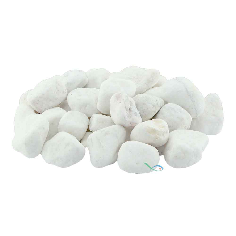 Ciotoli Maxi Bianchi 2Kg circa