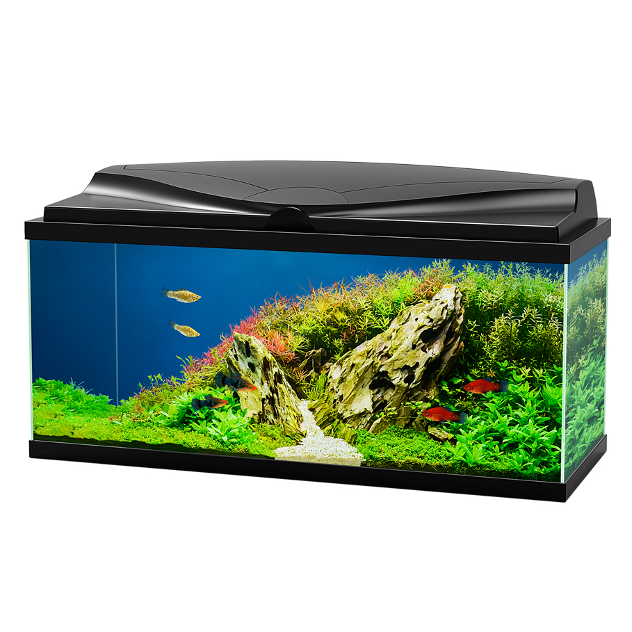 Ciano Aquarium Acquario Aqua 80 Nero 71lt 80x30x41,5h cm